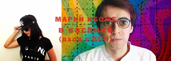 стаф Алзамай