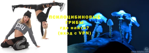 сатива Няндома