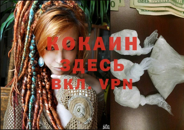 сатива Няндома