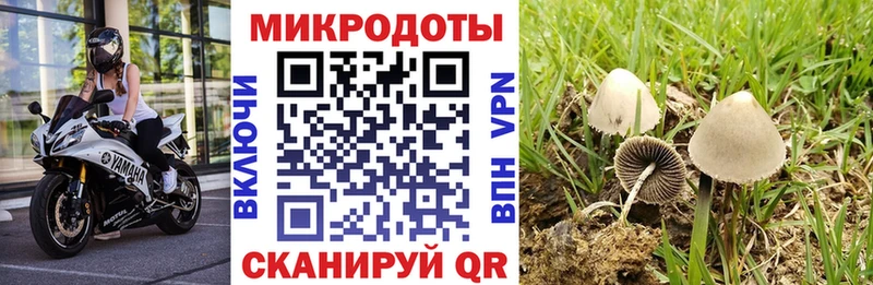 площадка Telegram  Барнаул  Галлюциногенные грибы мухоморы 